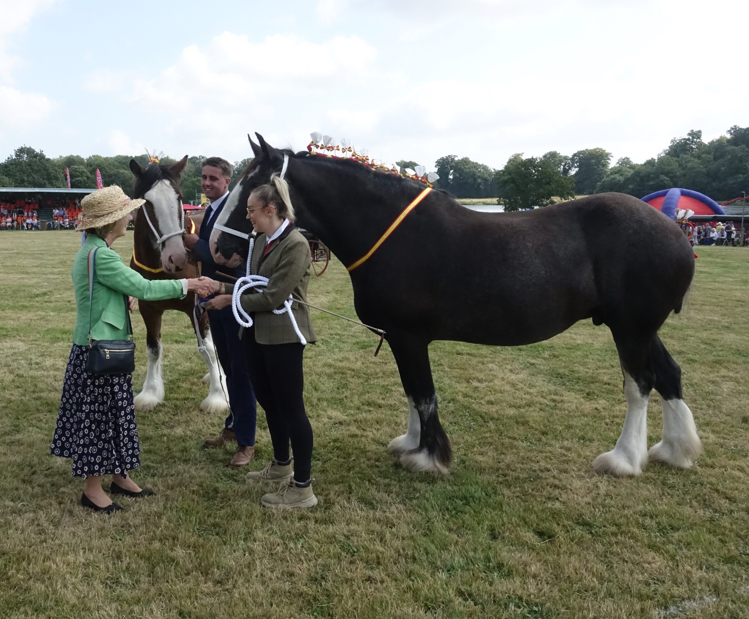 Heavy Horses Display