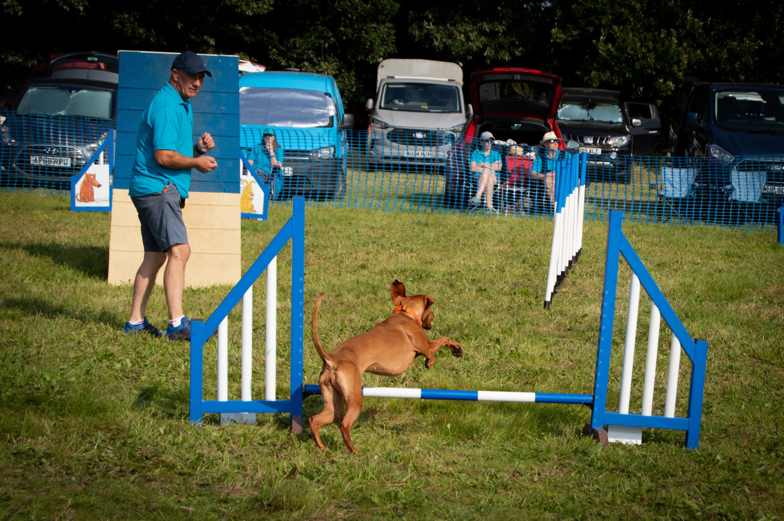 Dog agility